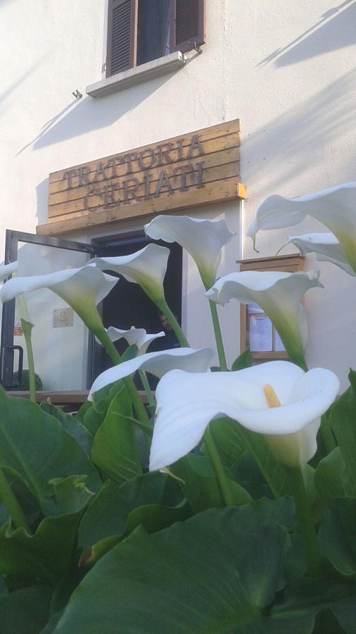Trattoria Ceriati Room & Breakfast Salsomaggiore Terme Bagian luar foto
